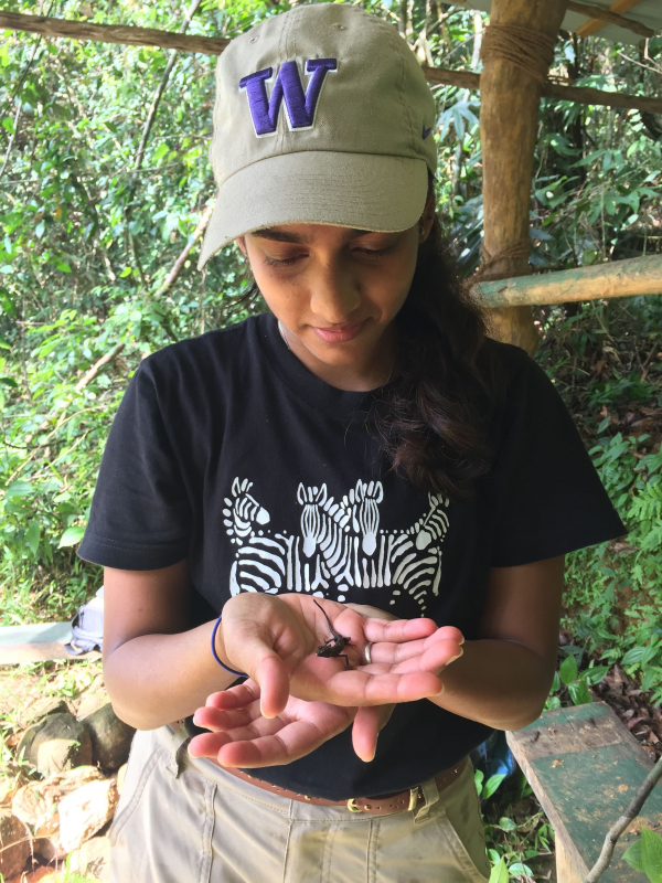 UW Biology recent graduate Shanelle Wikramanayake