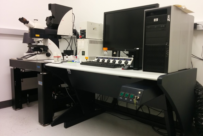 picture of the SP5 confocal microscope