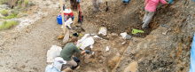 a group of people excavating fossils in Montana
