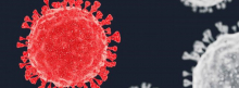 Covid-19 cell